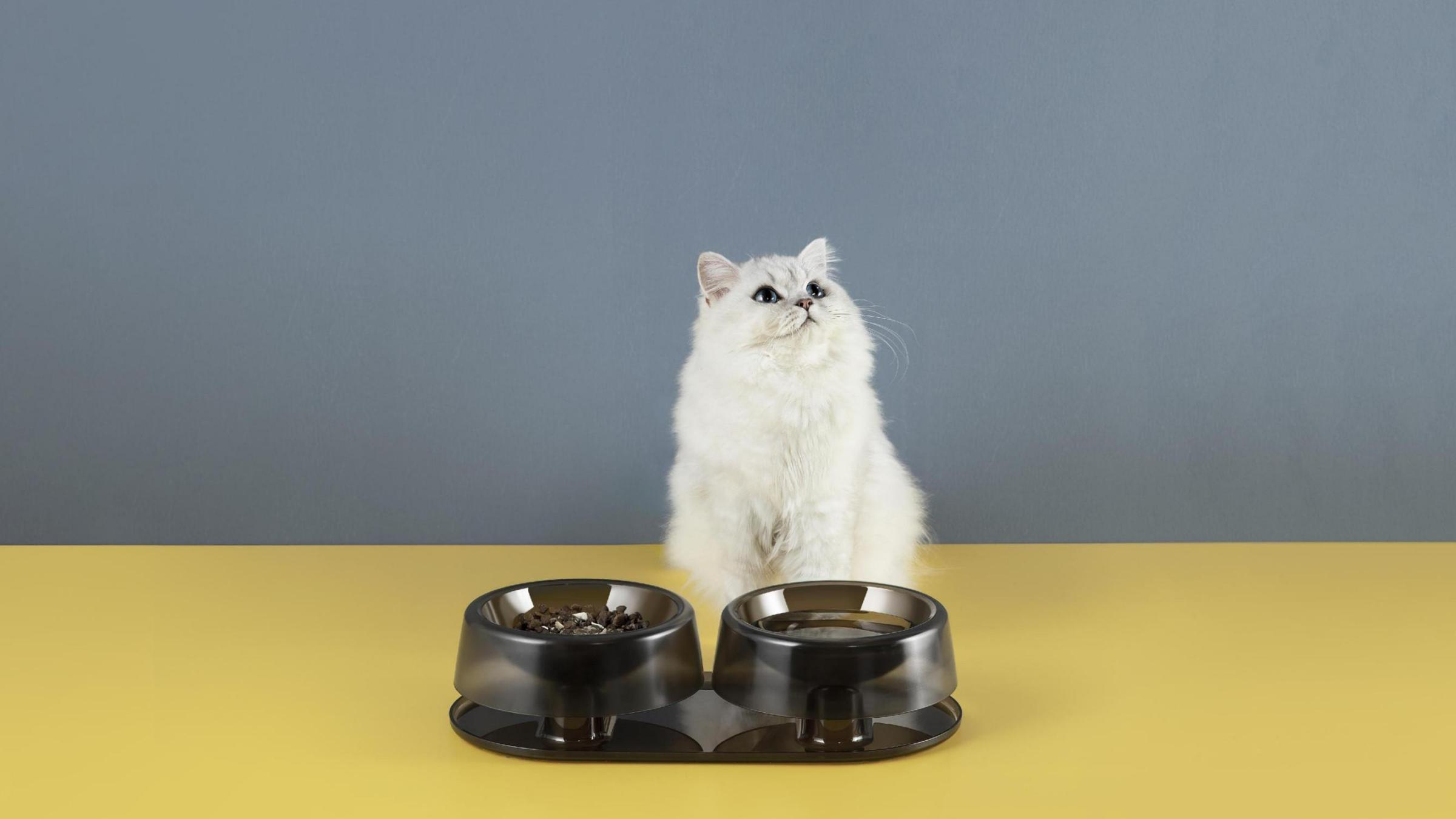 Complete view of WSW2-001 — Adjustable Double Feeding Bowl